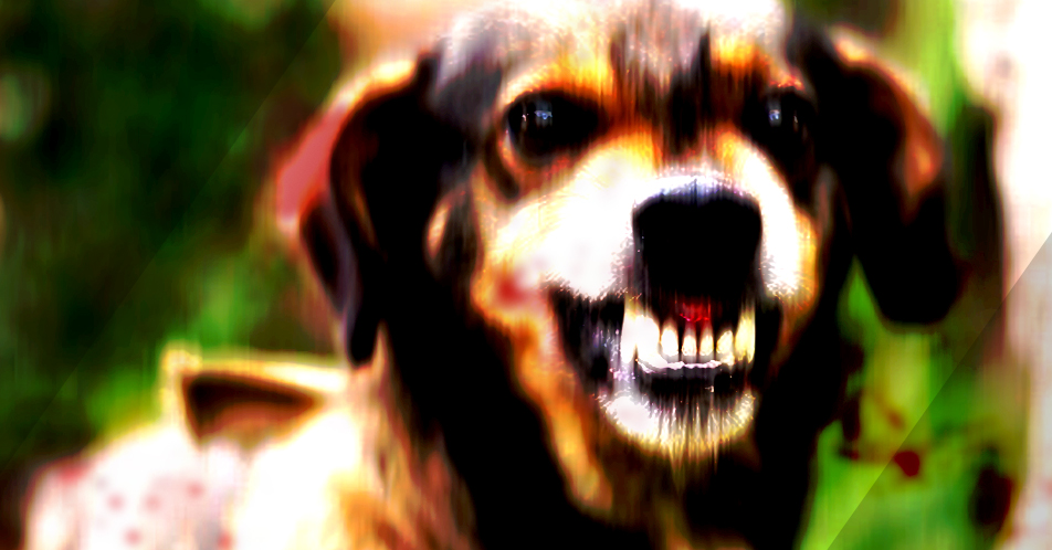 4 na katao, patay dahil sa rabies  sa lalawigan ng Nueva Ecija