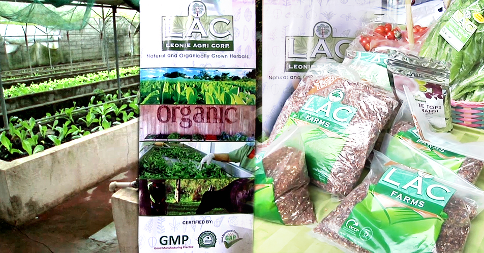 Leoni Agri Corp Farm, itinataguyod ang organic farming at medicinal herbs