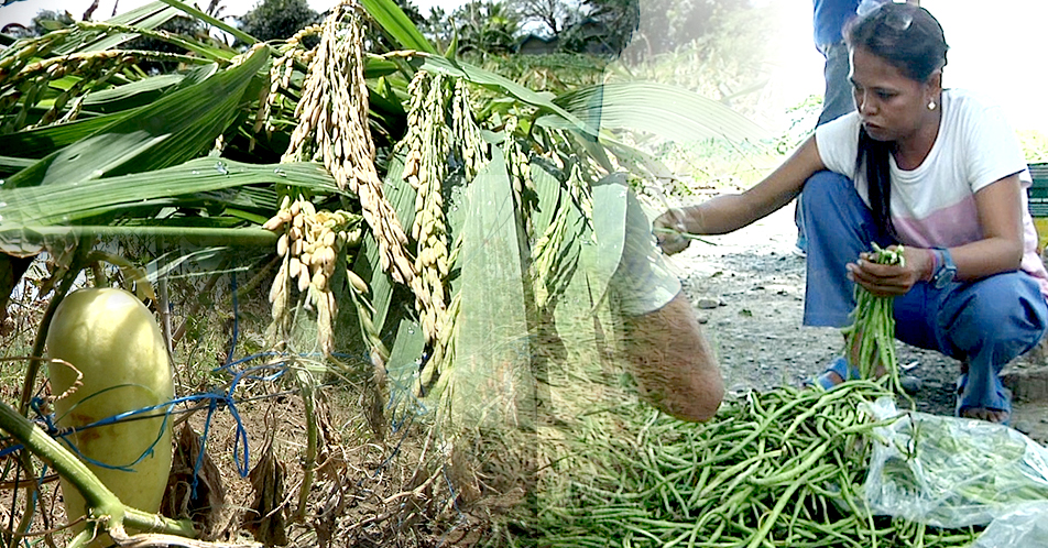 Talavera at Gen. Natividad, nais na maisailalim sa State of calamity dahil sa pinsala ni bagyong Ompong