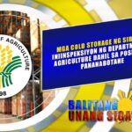 Mga cold storage ng sibuyas, iniinspeksiyon ng DA dahil sa posibleng pananabotahe