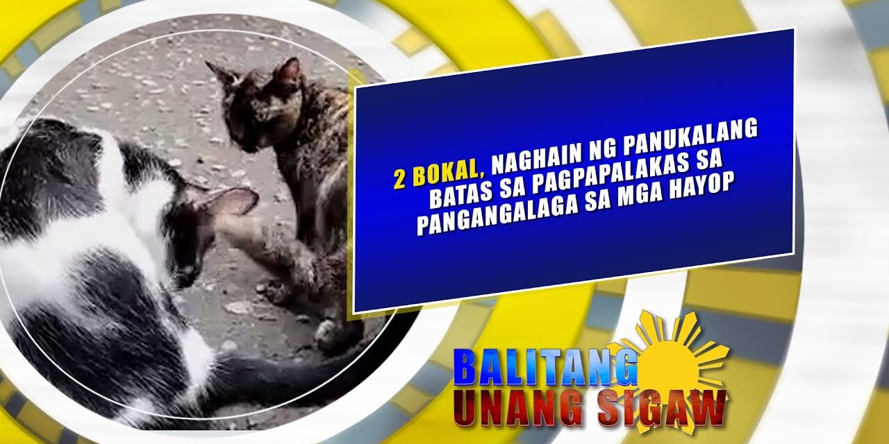 2 Bokal, naghain ng panukalang batas sa pagpapalakas sa pangangalaga sa mga hayop