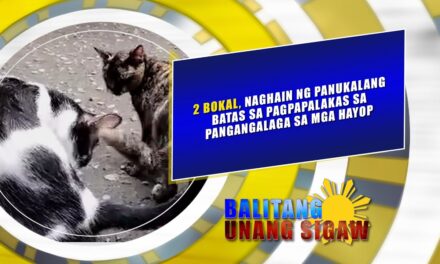 2 Bokal, naghain ng panukalang batas sa pagpapalakas sa pangangalaga sa mga hayop