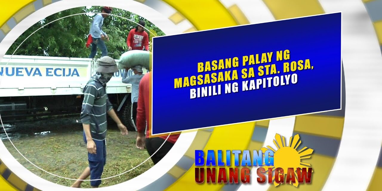 Basang palay ng magsasaka sa Santa Rosa, binili ng kapitolyo
