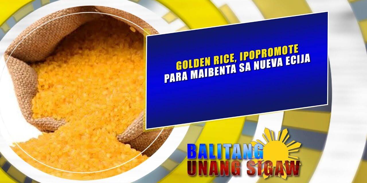 GOLDEN RICE, IPOPROMOTE PARA MAIBENTA SA NUEVA ECIJA