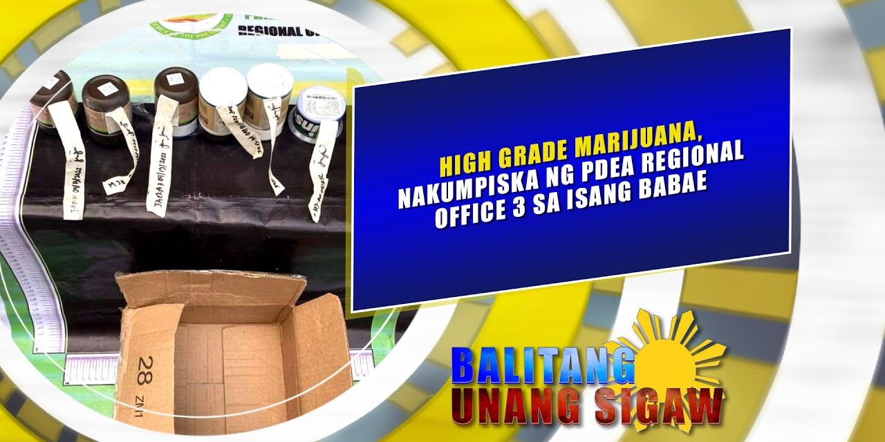 High grade marijuana, nakumpiska ng PDEA Regional Office 3 sa isang babae