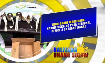 High grade marijuana, nakumpiska ng PDEA Regional Office 3 sa isang babae