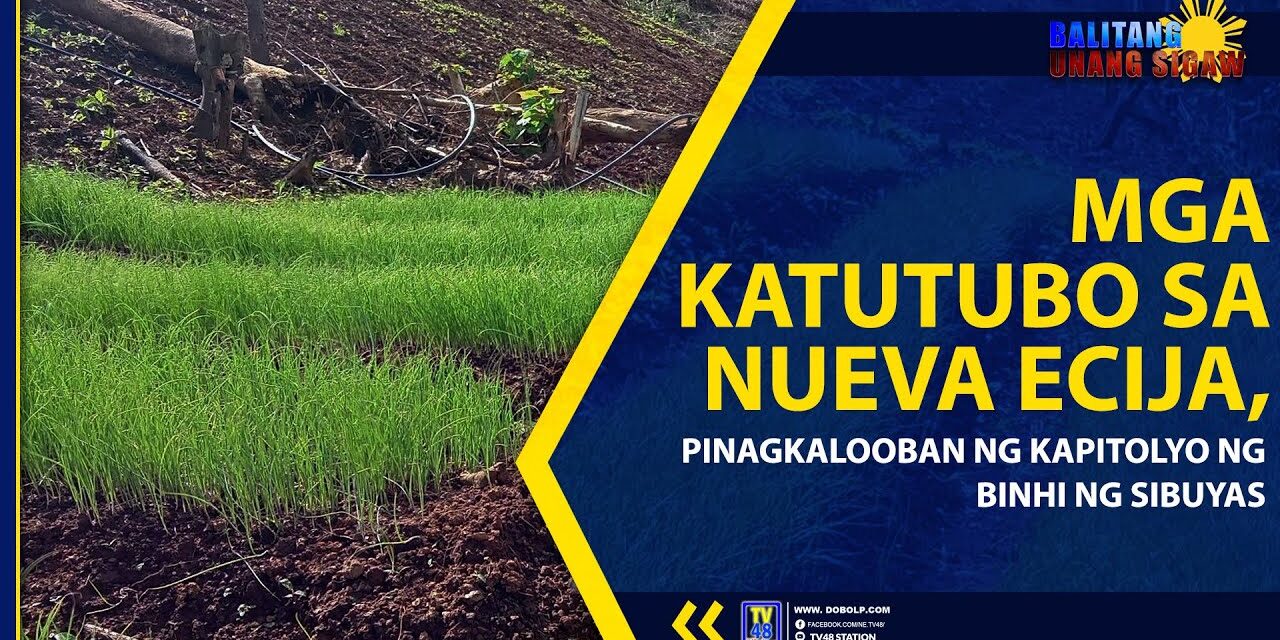 MGA KATUTUBO SA NUEVA ECIJA, PINAGKALOOBAN NG KAPITOLYO NG BINHI NG SIBUYAS