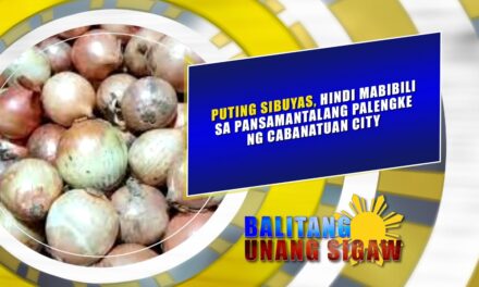 Puting sibuyas, hindi mabibili sa pansamantalang palengke ng Cabanatuan City