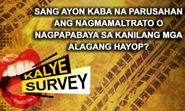 SANG AYON KABA NA PARUSAHAN ANG NAGMAMALTRATO O NAGPAPABAYA SA KANILANG MGA ALAGANG HAYOP?