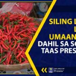 SILING LABUYO LALONG UMAANGHANG DAHIL SA SOBRANG TAAS PRESYO NITO