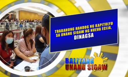 Trabahong handog ng kapitolyo sa Unang Sigaw ng Nueva Ecija, dinagsa